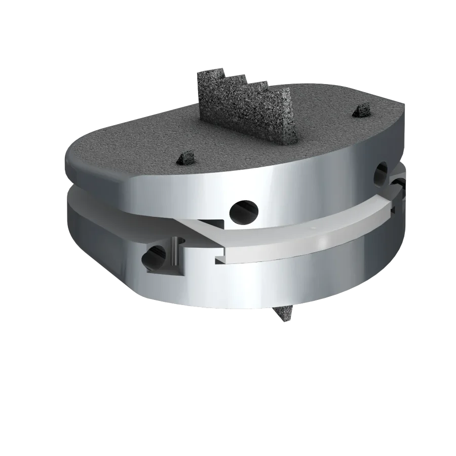 Three-dimensional render of a lumbar artificial disc implant showing its articulating core